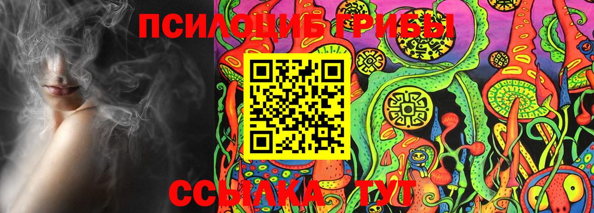 Галлюциногенные грибы Psilocybe Рязань