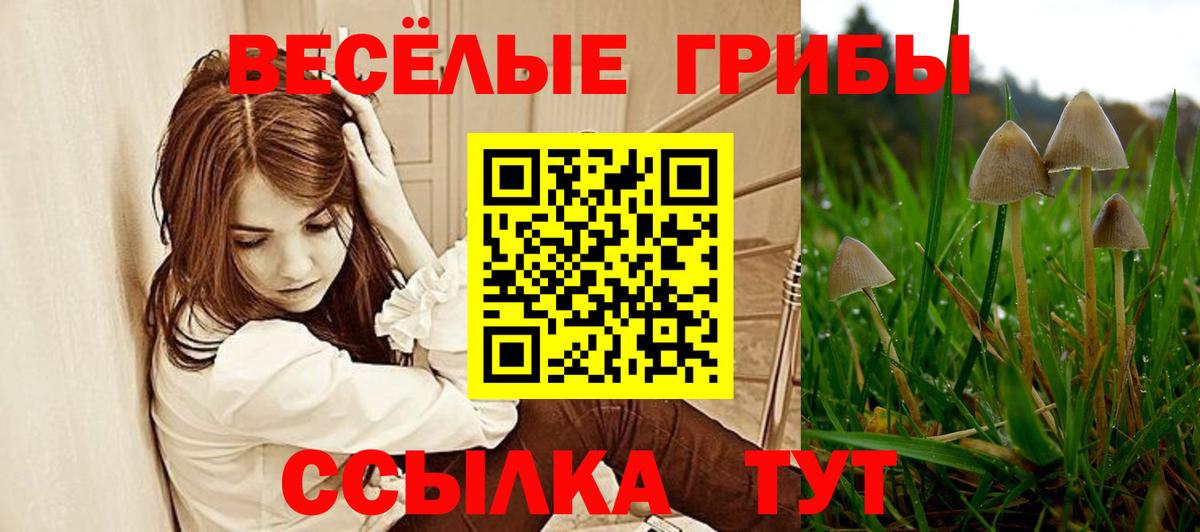 Галлюциногенные грибы Cubensis  Вход с VPN  Рязань 